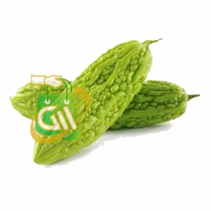 Bitter Gourd (Pavakka) 1 Pc