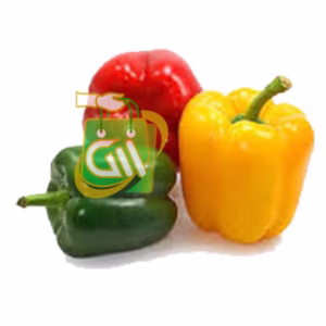 Capsicum 1 Pc