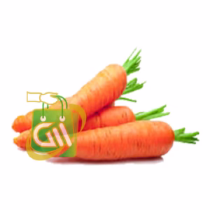Carrot 1 Pack