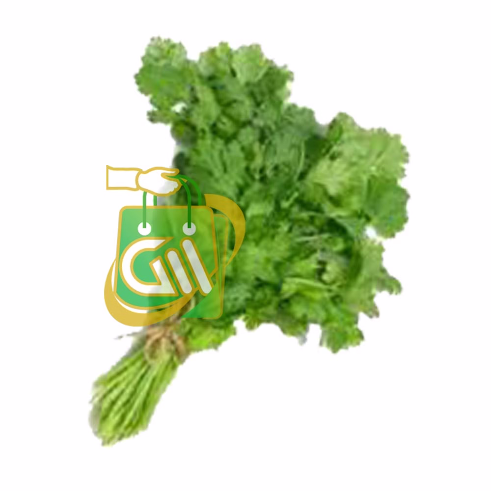 Coriander Leaf