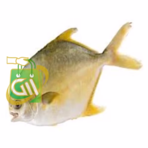 Golden Pomfret (Cleaned and cut) 1 Pc