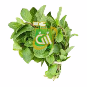 Mint Leaf