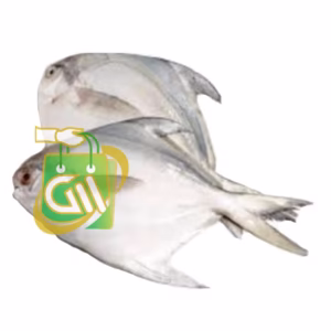Pomfret (Cleaned and Cut) 1 Pc