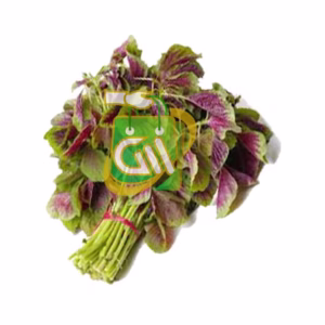 Red Spinach (Cheera)