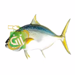 Yellow Tail (Cleaned) and cut 1 kg